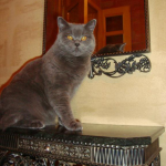 Бакс