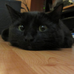 The Нигер;) The Нигер;)