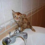 Позитифффчик ;)
