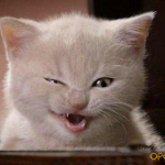 Позитифффчик ;)