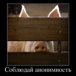 Реалии жизни...