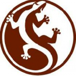 salamandra
