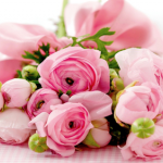 Peony
