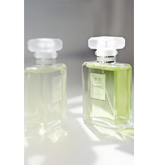 Туалетная вода Chanel No. 19 Poudre