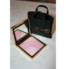 Пудра-хайлайтер Palette Y-Mail №1 Pearly Finish (limited edition spring 2010) от YSL