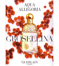 Женский аромат Aqua Allegoria Grosellina от Guerlain