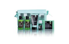 Серия Чайное дерево от The Body Shop