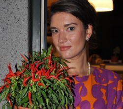 cipollina
