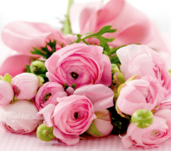 Peony