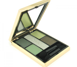 Тени для век OMBRES 5 LUMIERES от YSL (1)