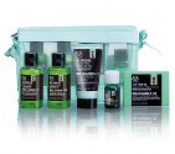 Серия Чайное дерево от The Body Shop