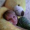 Darya_