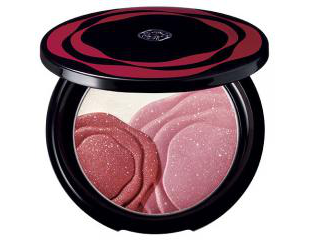 Осенняя новинка от Shiseido: Camellia Compact