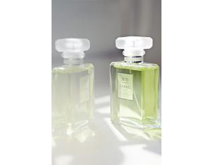 Туалетная вода Chanel No. 19 Poudre