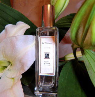 Женский аромат Orange Blossom от Jo Malone