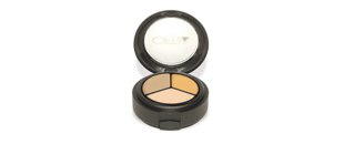 Трехтональный маскирующий корректор от OFRA Cosmetics